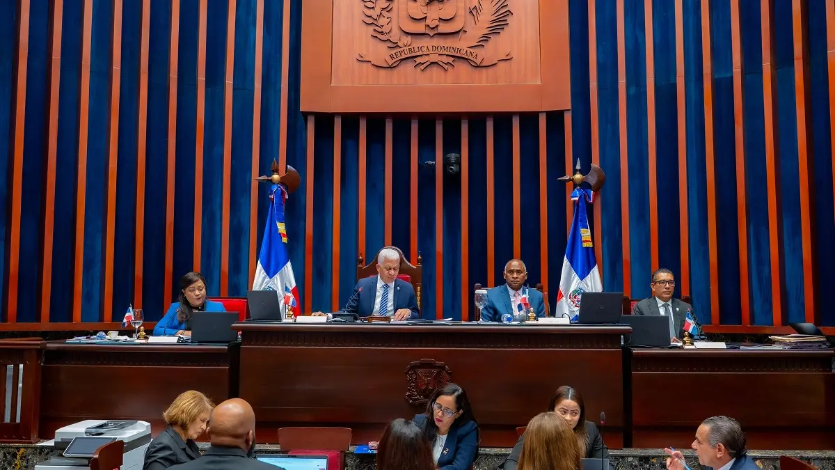 Senado pospone artículos del Código Penal sobre libertad de expresión