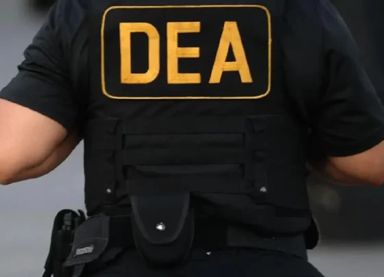 agentes DNCD