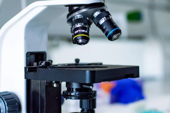 laboratorio de peste