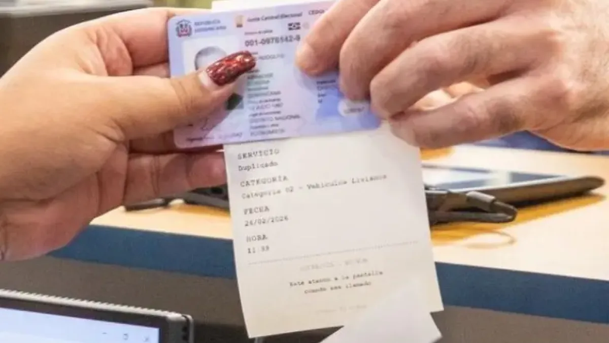 Licencias para adultos mayores: renovación gratis y desde cuándo